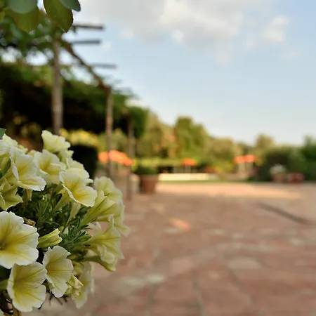 Le Mascie Aparthotel